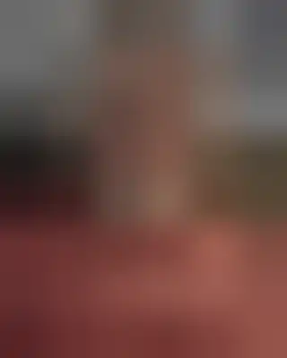 Anonymiserad bild till par söker man i Skanör-Falsterbo
